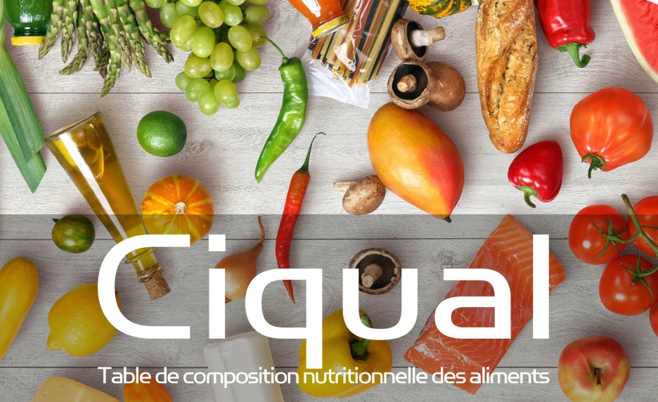 Classifieur CIQUAL